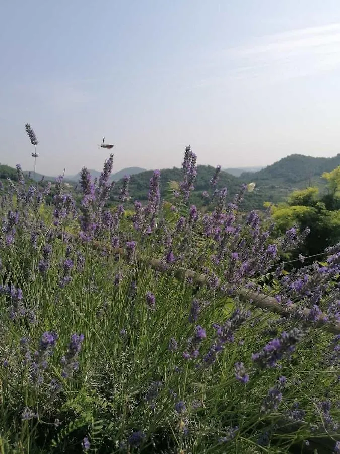 Ca' Amorino Galzignano Terme 0*,  Italy