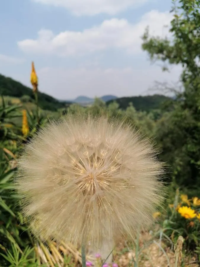 Bed & Breakfast Ca' Amorino Galzignano Terme Italy
