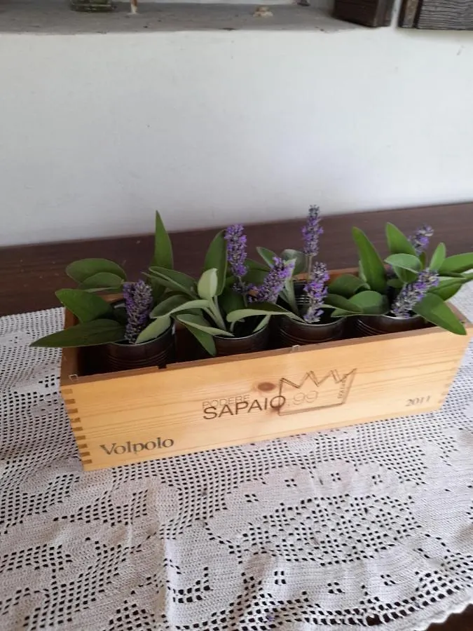 Ca' Amorino Galzignano Terme